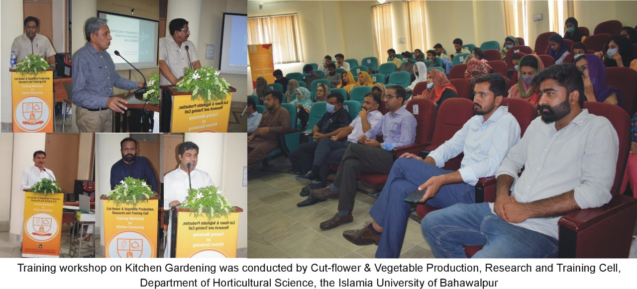 IUB Conducted a Training Workshop on Kitchen Gardening