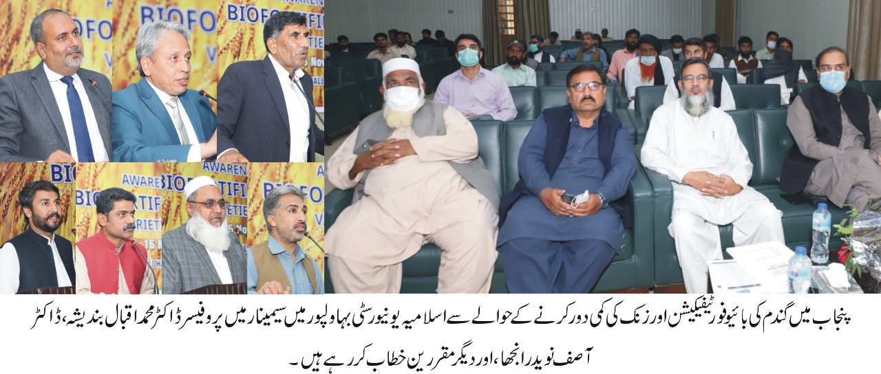 WhatsApp Image 2021-11-17 at 5.35.37 PM (2)