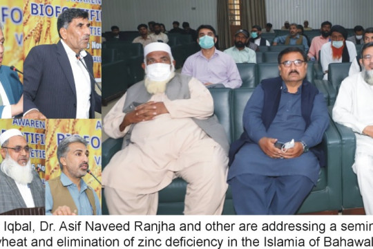 Seminar on bio-fortification of wheat and elimination of zinc deficiency in Punjab was held at IUB