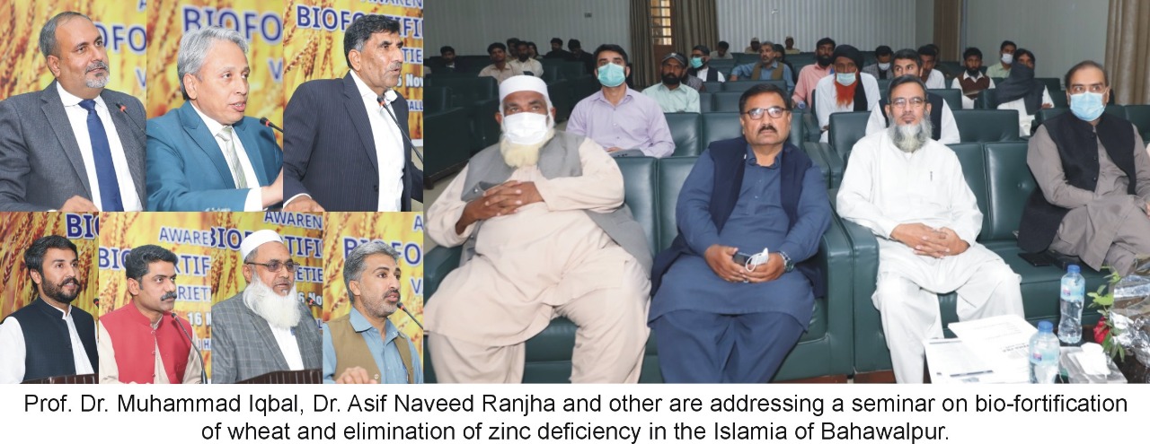 Seminar on bio-fortification of wheat and elimination of zinc deficiency in Punjab was held at IUB